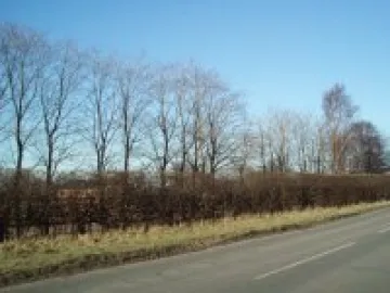 P1010002Ollerton