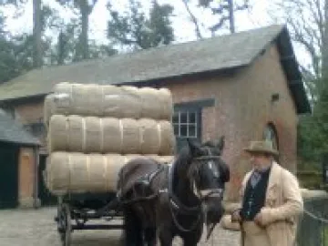 horse cart