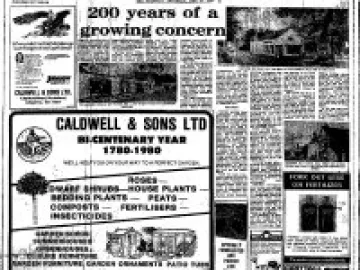 bicent article resized