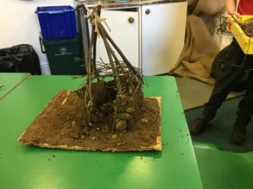 FDFCAA7F-FD23-4552-96BD-5C1ED7F1D331