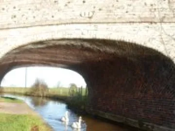 Litter Picking 2013 (9)