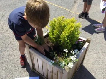 Image: 86B32E28-0B17-4DB6-98D5-CF3500D43529