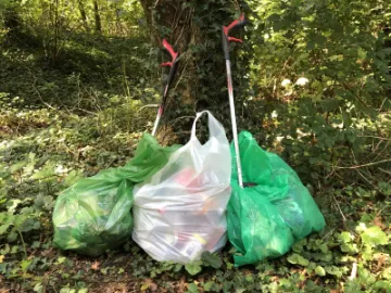 litter woodland