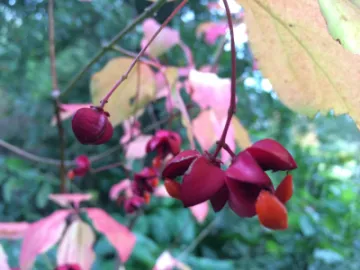 Image: 6F05B913-A8D3-405B-84E9-4B4205F4A10A