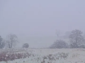 Snow.....