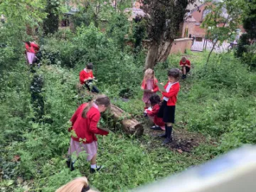 CA634CFF-0C5D-4850-AE02-950F0D32BC16