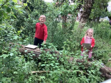 Image: 3EDB2F5A-C4DB-440D-A99E-F8F0D33A8EC0