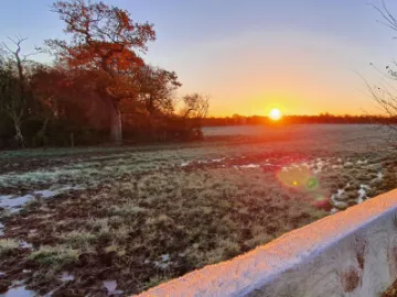 Image: 20211125_081251