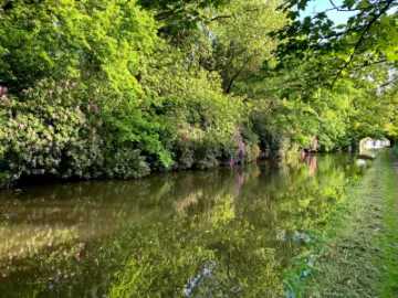 Bridgewater Reflections