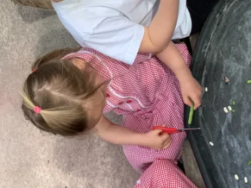 5EAE4142-0520-43B6-BC28-F35BF7EAC0C7