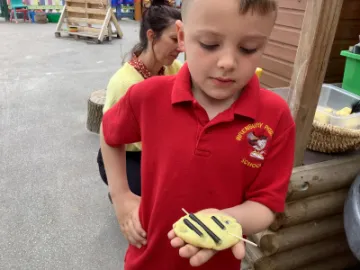 8A2E1587-C105-4A2F-97F4-DFEFB5B17F16