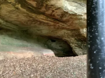 4AB7E385-645F-402E-864F-58382DF5615A