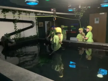 556DD5BD-21D4-442E-9AB5-FC70BAF6395A