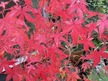 E4692D93-93A7-4FC7-B2F8-228C0D6991E0