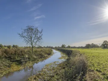 Image: 20231111 111636 Enhanced NR