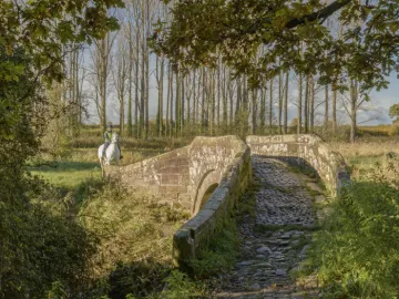 20231111-110612-Enhanced-NR