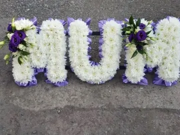 Original-Bab2e5cc-78fc-4e9d-Be