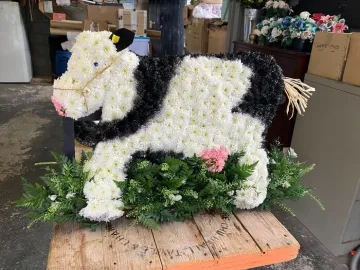 Processed-68aeac2d-D4b9-443f-9