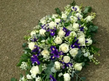 Original-35460c45-19f6-4b22-93