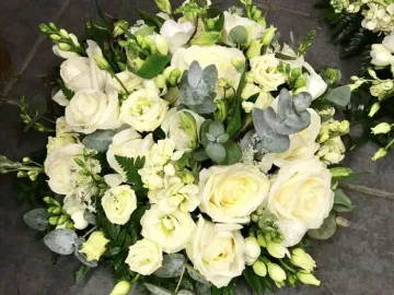 Original-D994110d-43c3-4aab-Aa