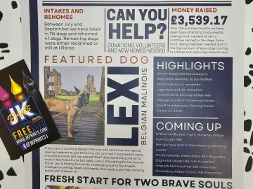 Hilbrae Newsletter A4 170gsm Silk Flyers