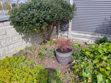 Img_20250322_120105_hdr