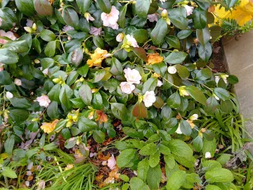 Img_20250322_120221_hdr