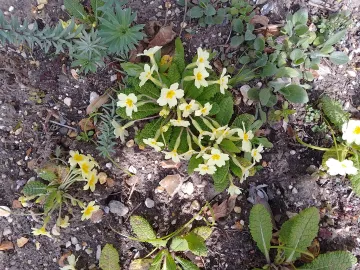 Img_20250322_120127_hdr