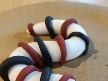 Alice's snake