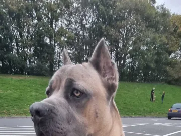 Whatsapp Image 2025-10-16 At 14