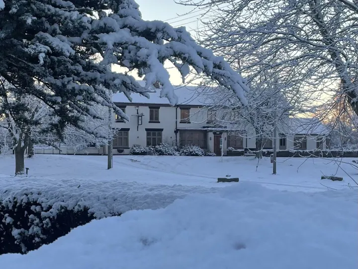 C6c9c9dd-F4ba-44f1-8562-3e54f6088e54_1_201_a