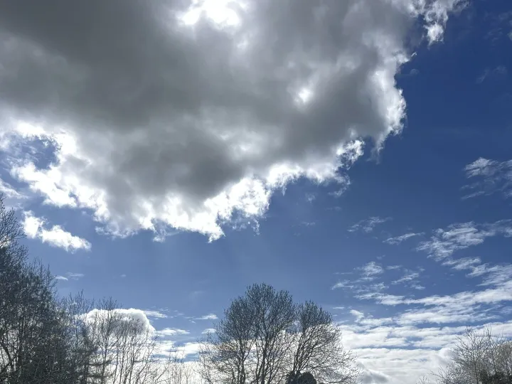 20260326_115655941_ios