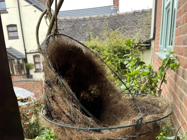 Items for sale &ndash; Two hanging baskets &pound;7