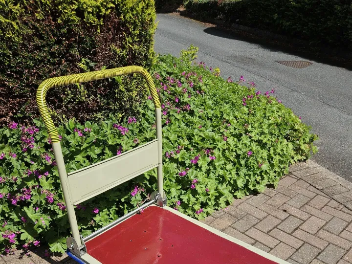 Items for sale
– Garden handy folding Trolley x4 wheels £15.00