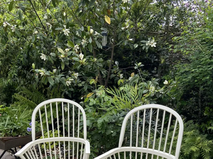 Items for sale &ndash; John Lewis Carvers &pound;50