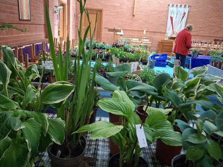 Setting Up The Plant Sale 1