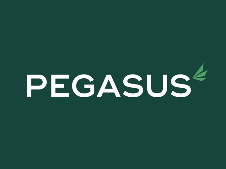 Pegasus Finance
