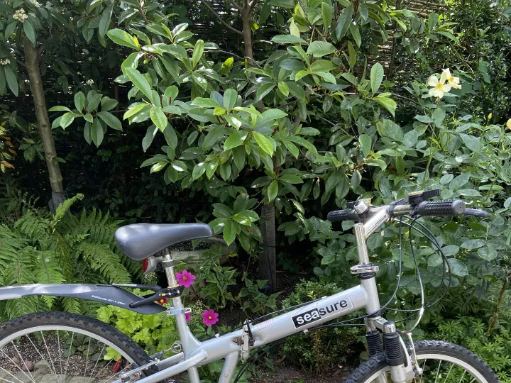 Items for sale
– Folding bike £30