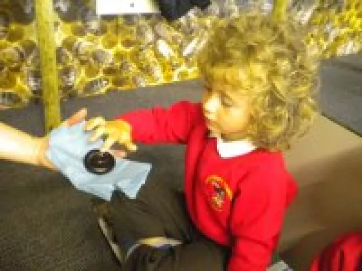 Knowsley Safari Park 036 – Copy