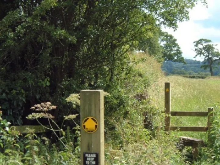 Walking towards Bolesworth