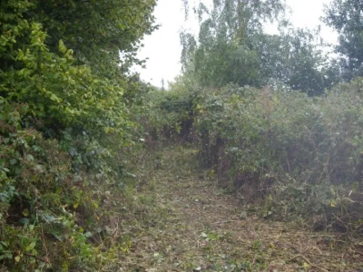 Behind Tarvin Mill (2)