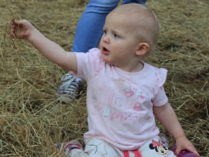 2016 Minshull Madness (12)