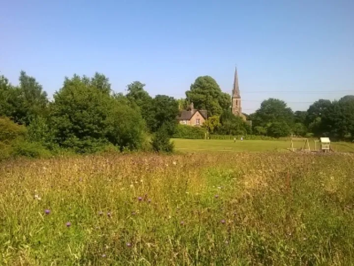 Millennium Green Main