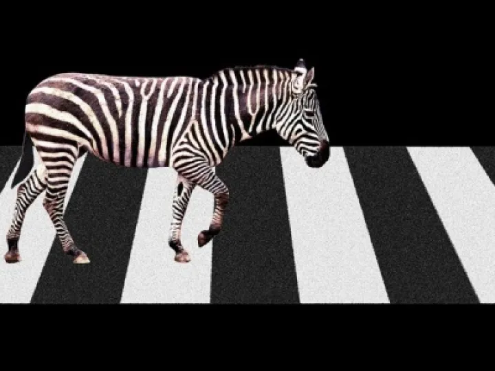 zebra crossing
