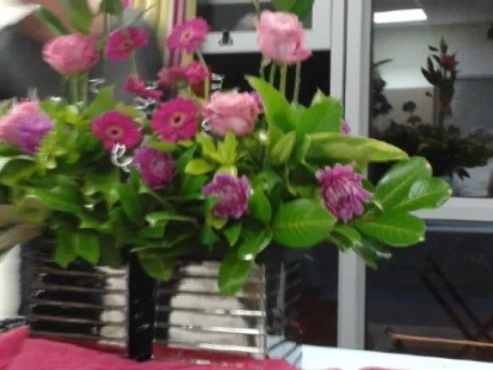 Flower Club Sept 2016 (20160914_213122  2)