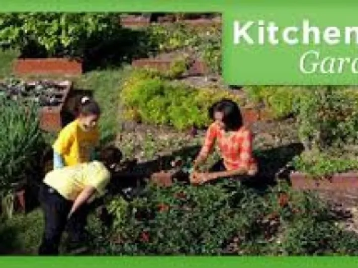 Kitchen Garden