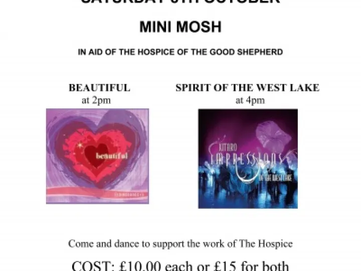 Mini Mosh Poster2