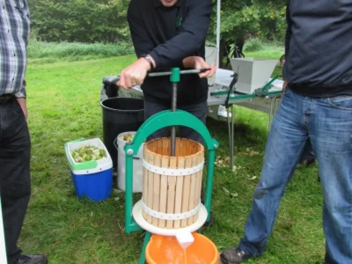 Apple Pressing (3) 2015
