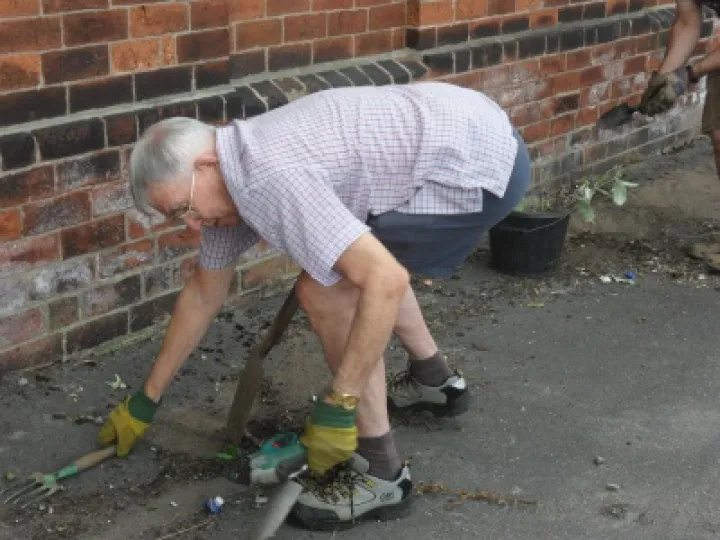 Gardening Blitz Buckley (3)