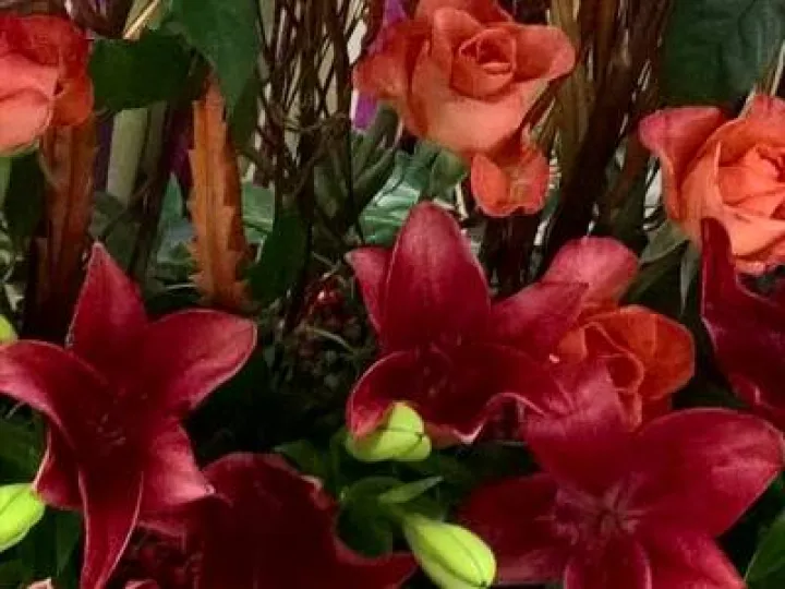 Flower Club Jan 2017 Wp_20170111_21_31_33_pro  2